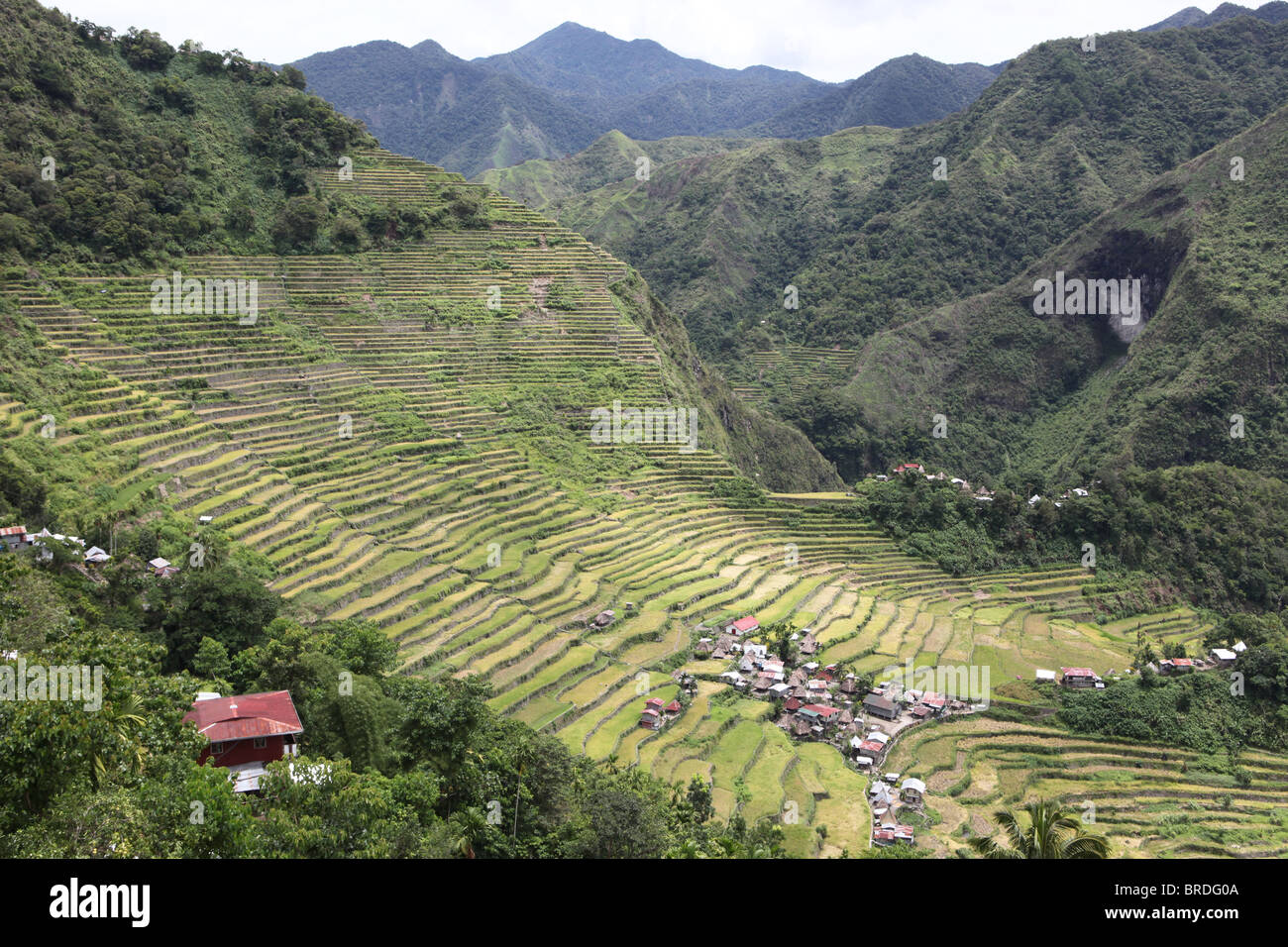 Ancient Rice Terraces of Banaue Stock Photo - Alamy