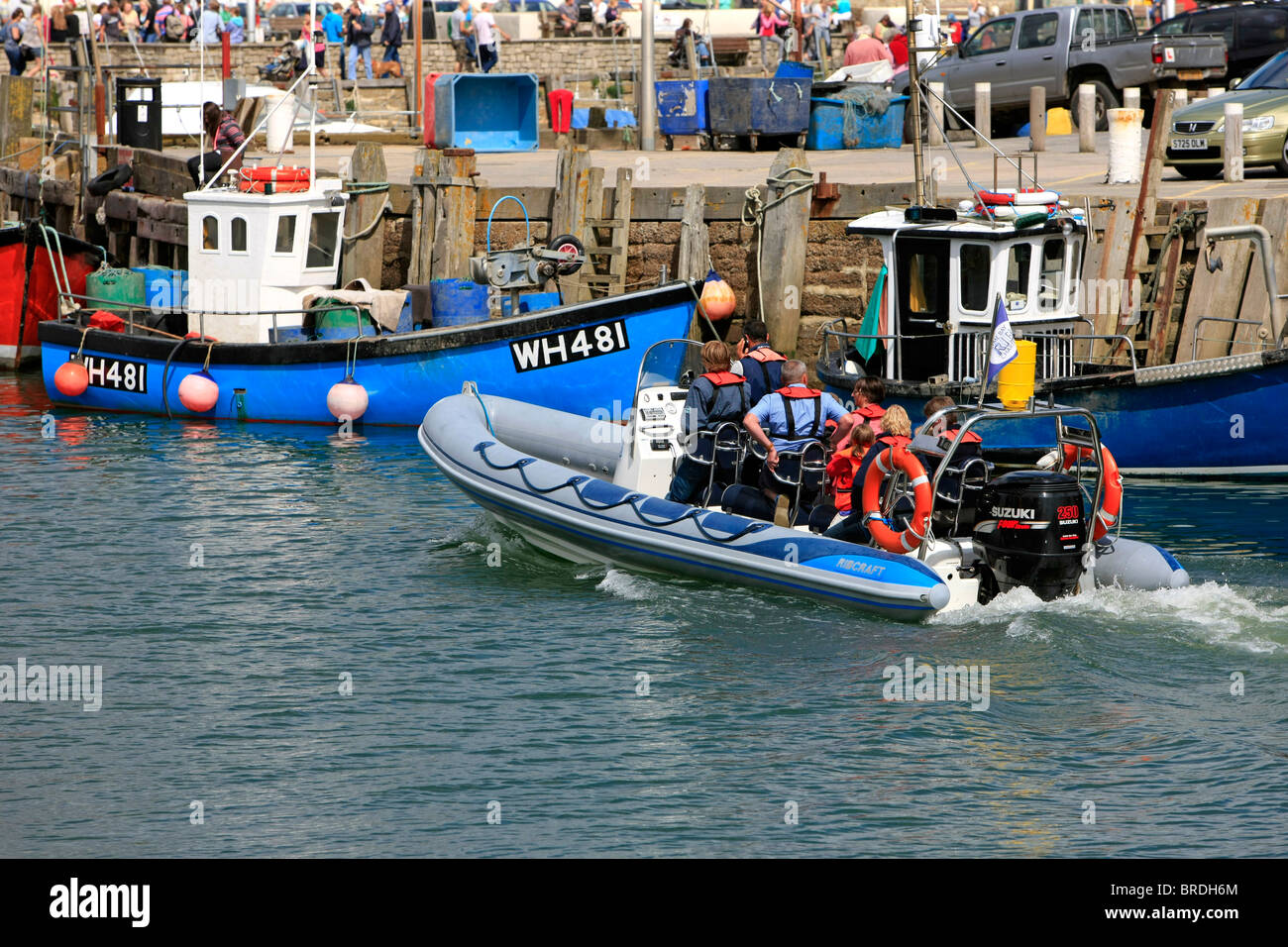 A RIB speedboat pulls into West Bay Harbor Dorset Stock Photo - Alamy