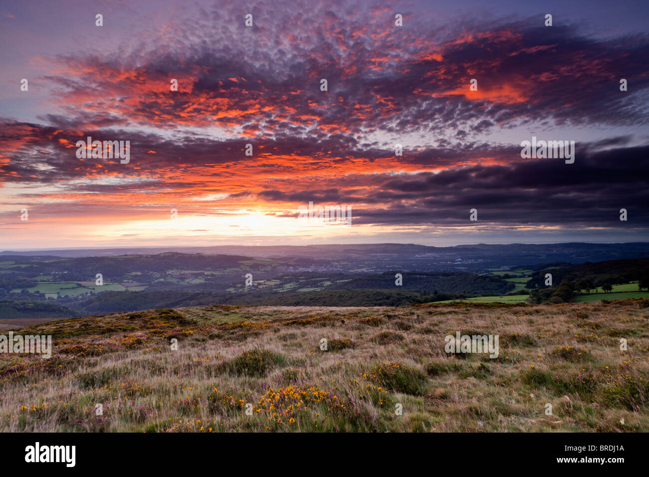 Sunrise from Haytor Down looking towards Newton Abbot. Dartmoor National Park. Stock Photo