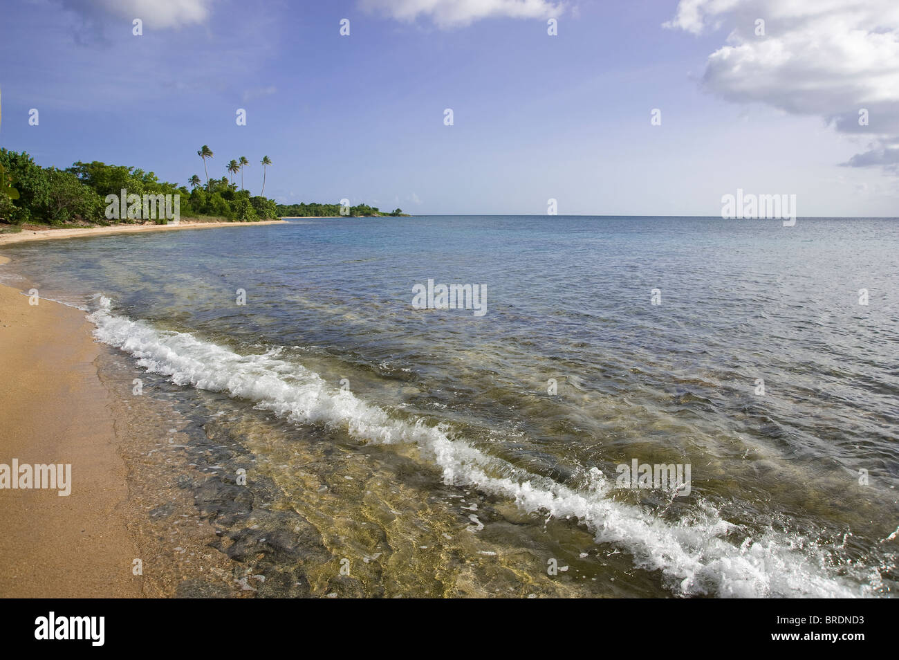 Surf, Waves & Foam On Isolated Deserted Beach, Vieques Puerto Rico Stock Photo