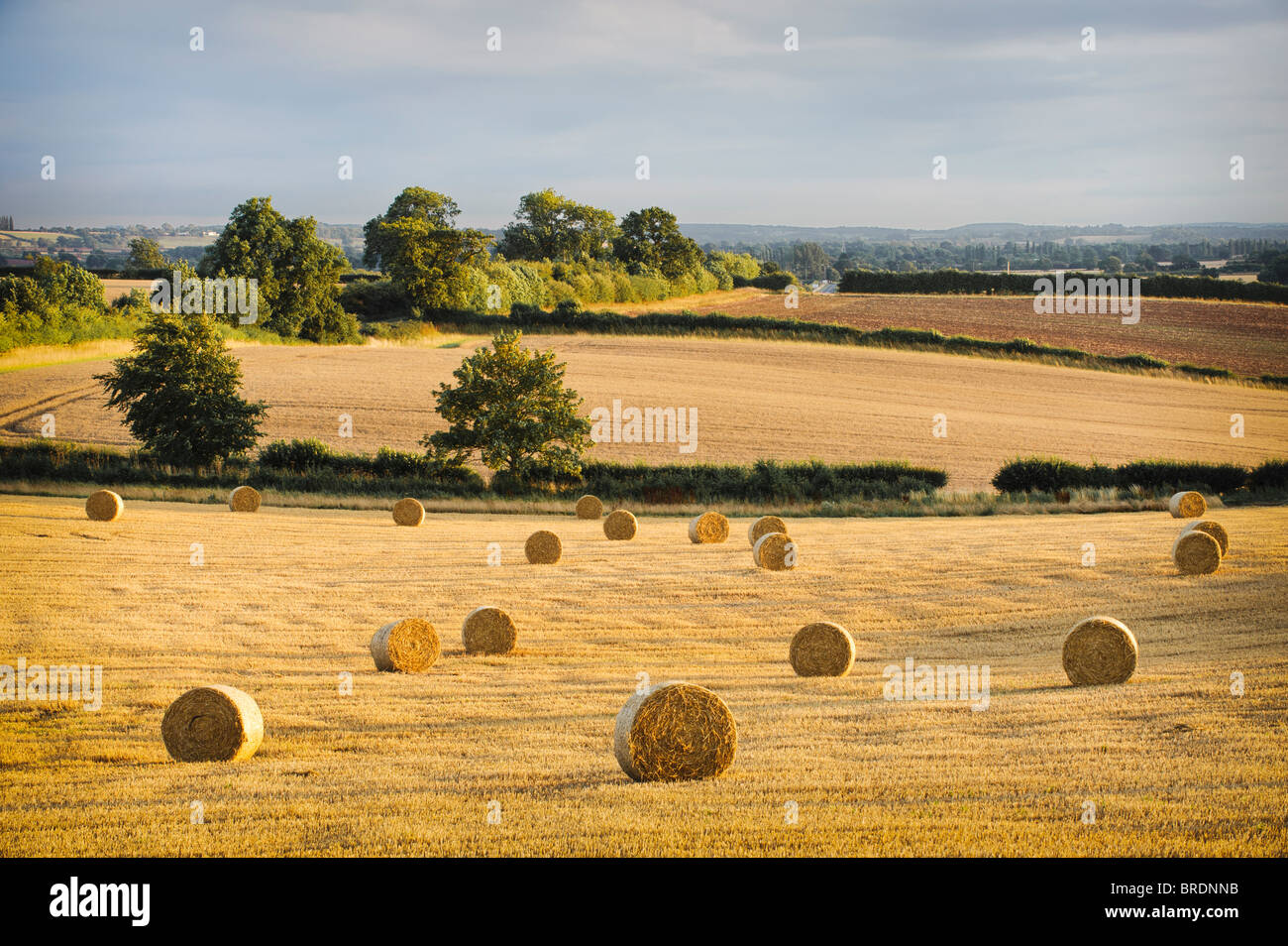 Hay bails and stubble in a field at sunset, Warwickshire, England, UK Stock Photo
