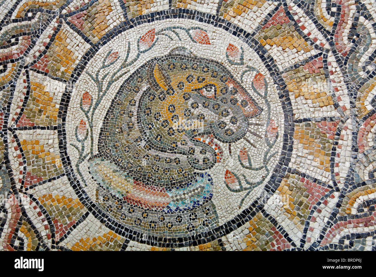 Mosaic at the museum, Sabratha, Libya Stock Photo