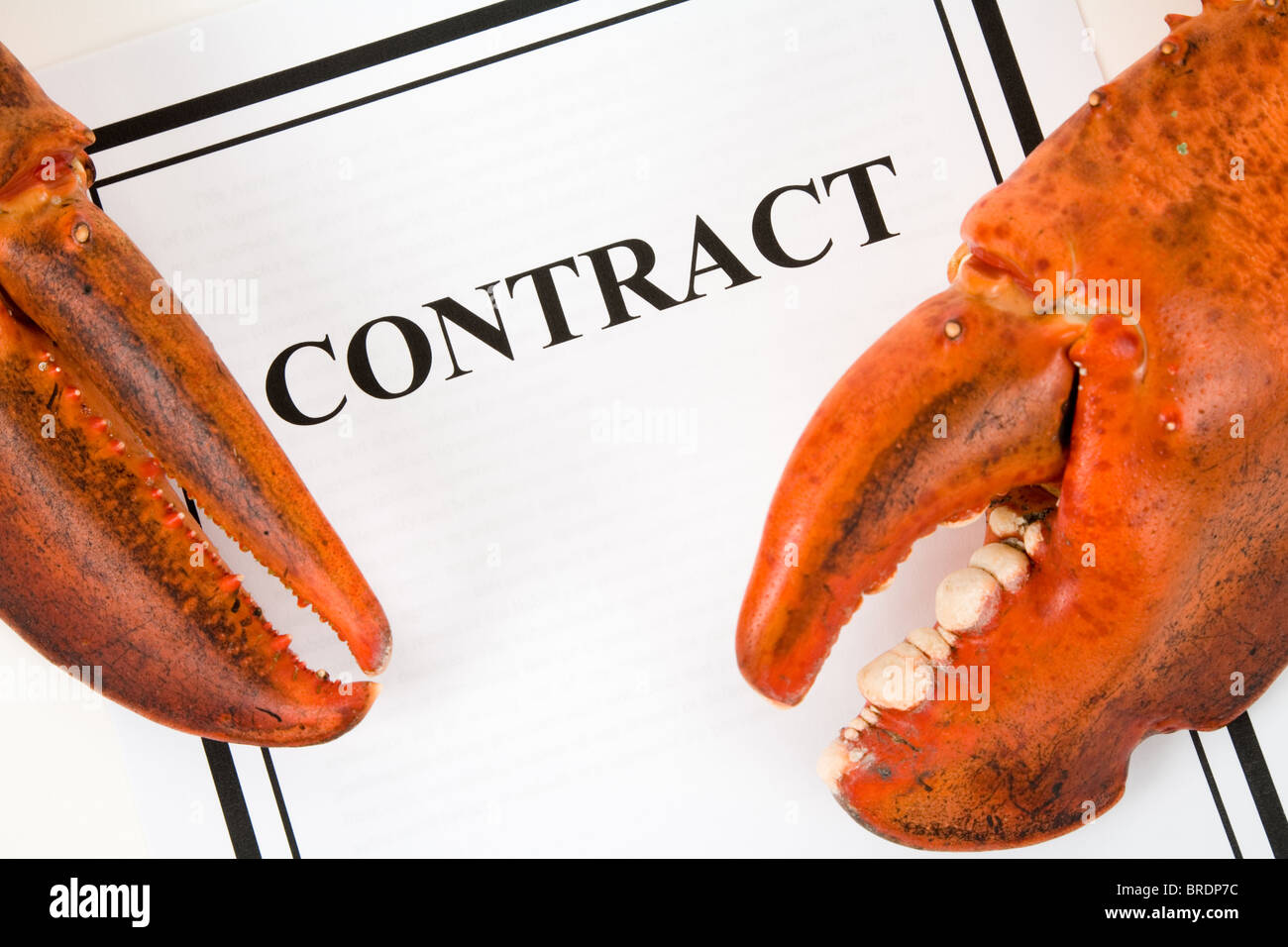 Lobster Claw and Business Contract, concept of threaten Stock Photo