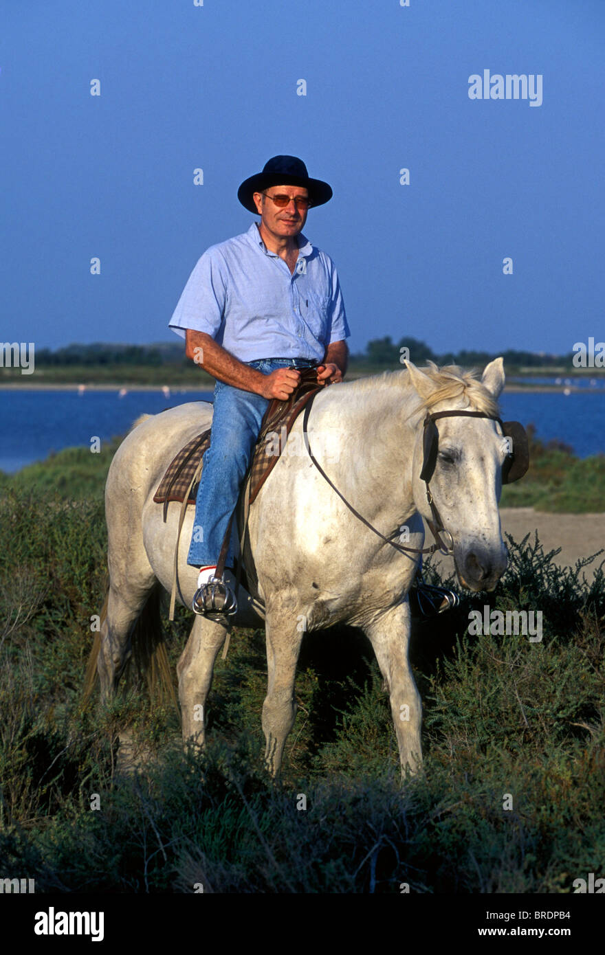 Frenchman, French man, tourist, horseback ride, riding horse