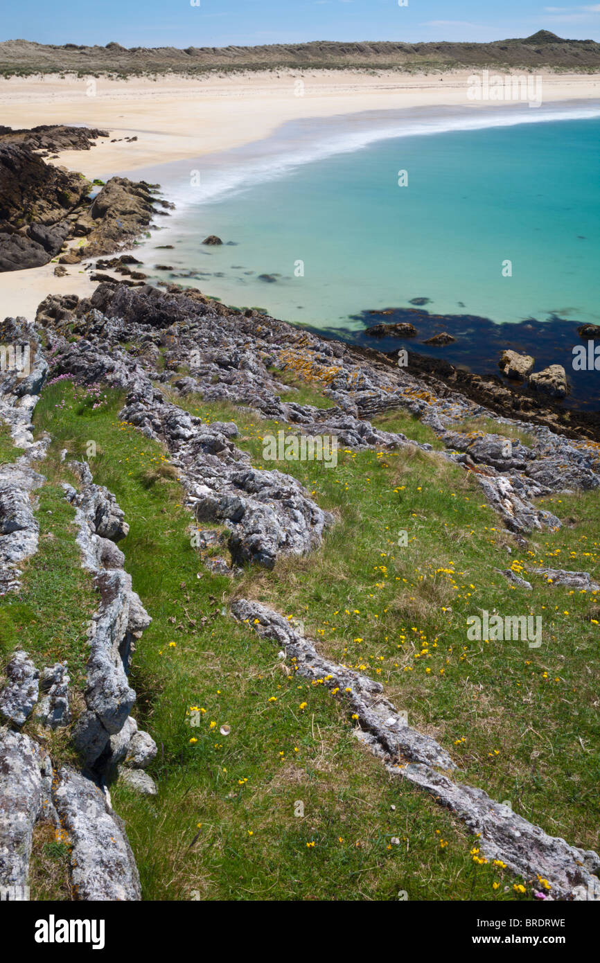 A spectacular long sandy beach on the SW of Coll, and totally deserted ...
