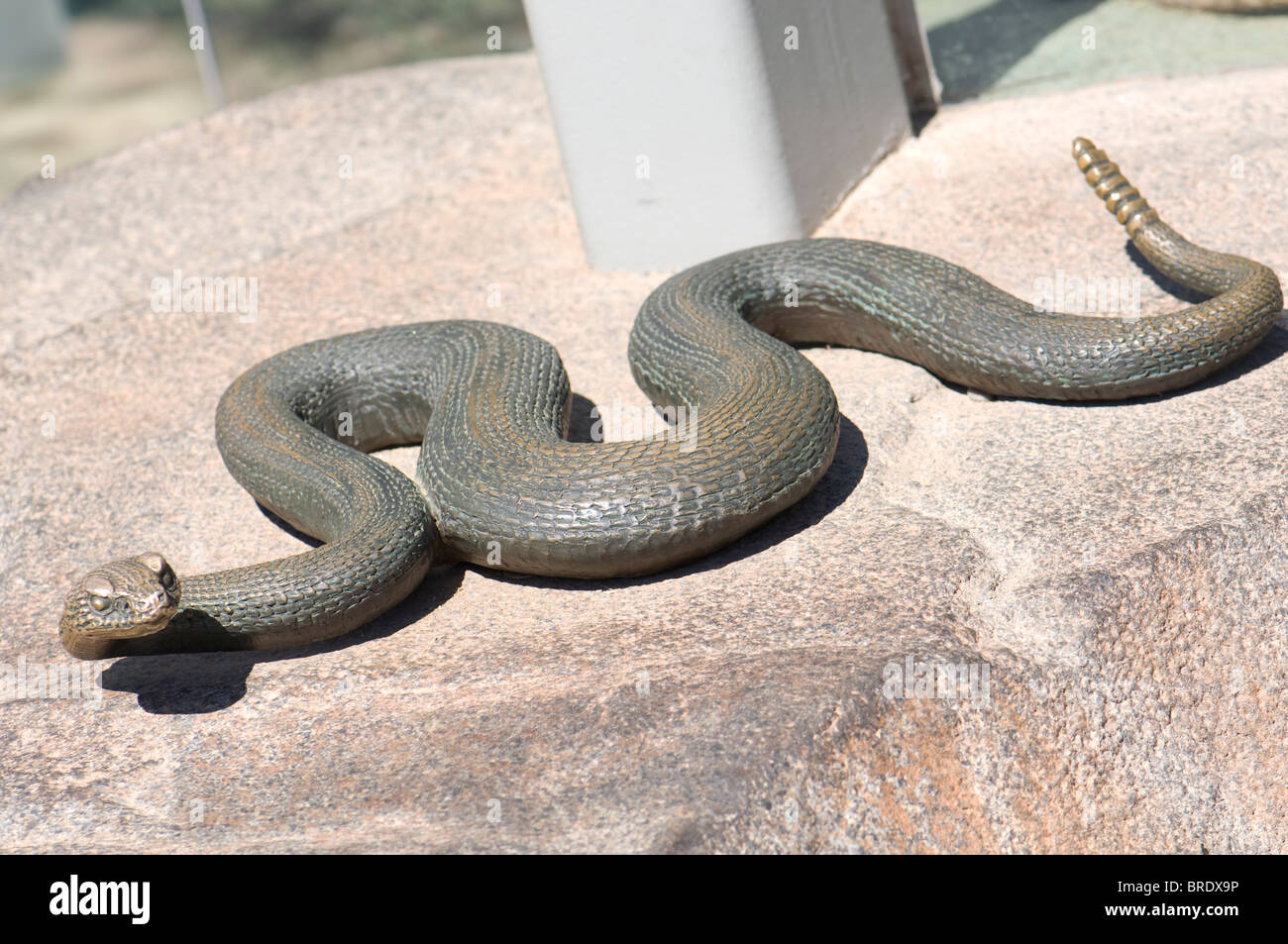 Bronze snake hires stock photography and images Alamy