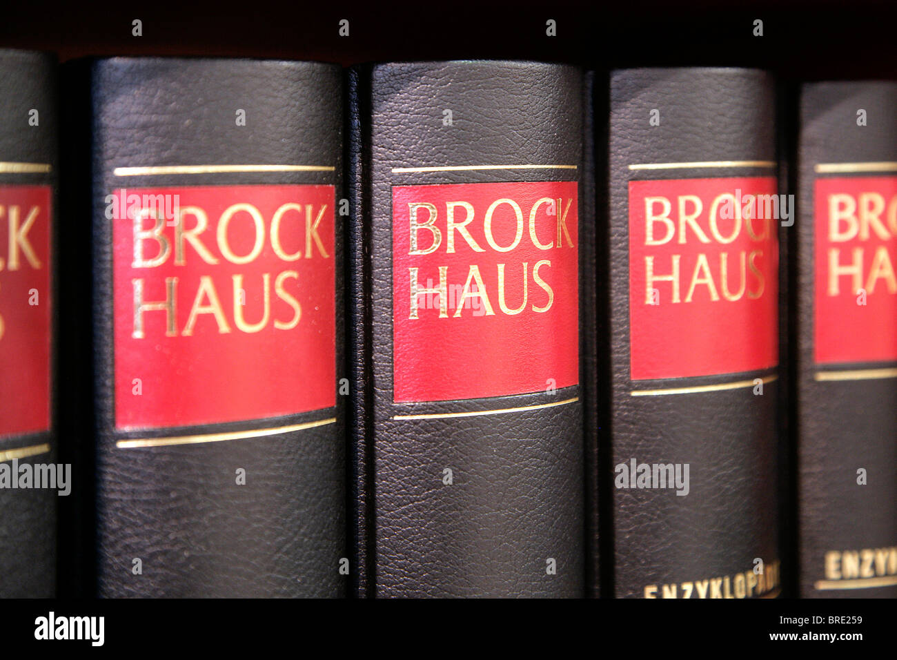 Brockhaus Lexikon, Brockhaus encyclopedia, at the Frankfurter Buchmesse 2007, Frankfurt Book Fair 2007, Frankfurt, Hesse Stock Photo