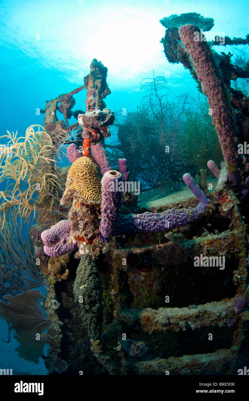 Underwater wreck of the ship Price Albert off the Coast of Roatan Stock Photo
