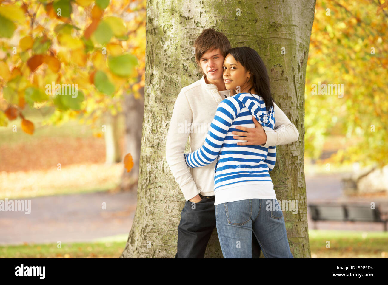 Romantic Teenage Couple By Tree In Autumn Park Stock Photo - Alamy