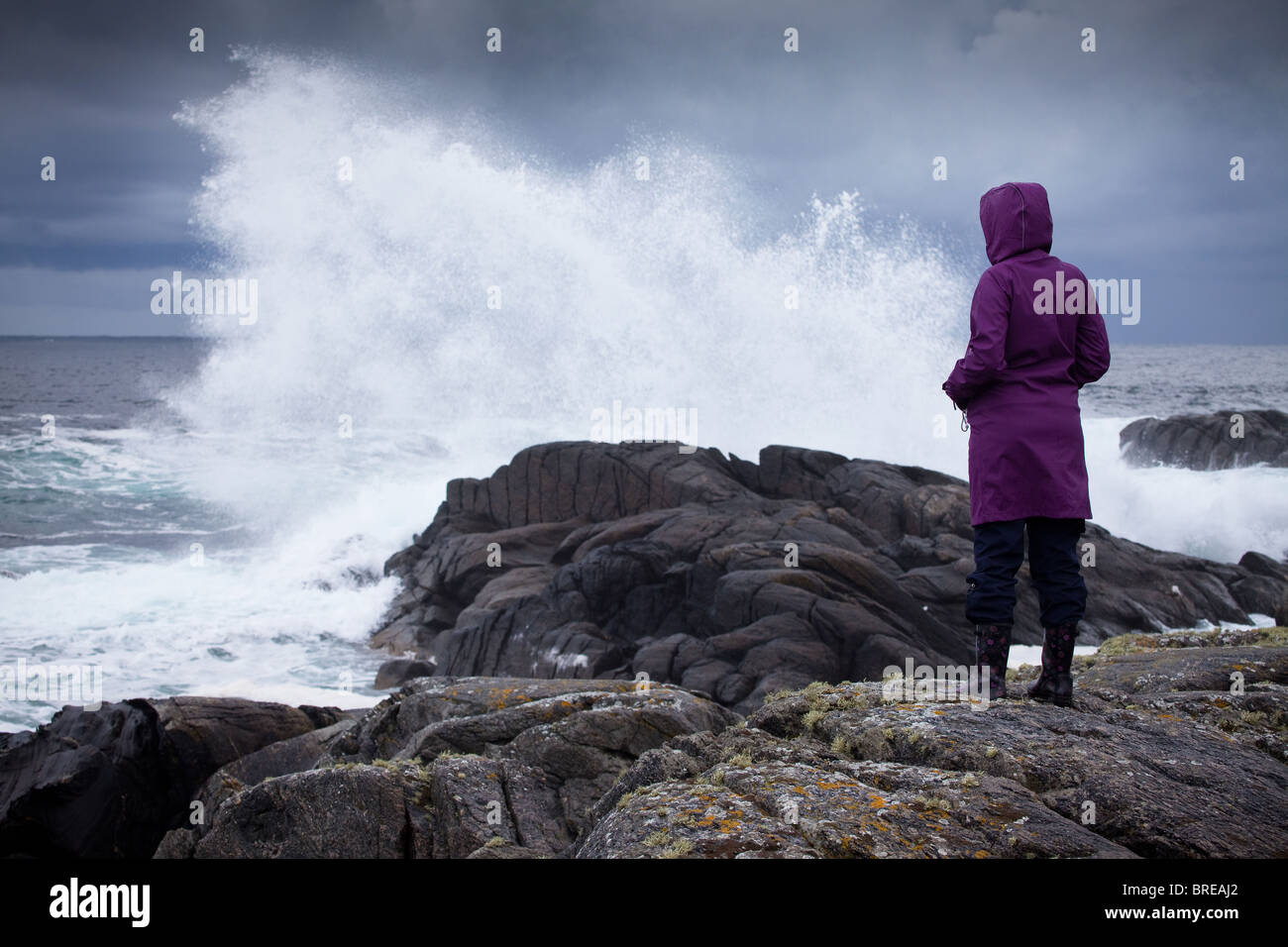 Big waves and windy conditions on the island Runde on the Atlantic west coast of Norway. Stock Photo