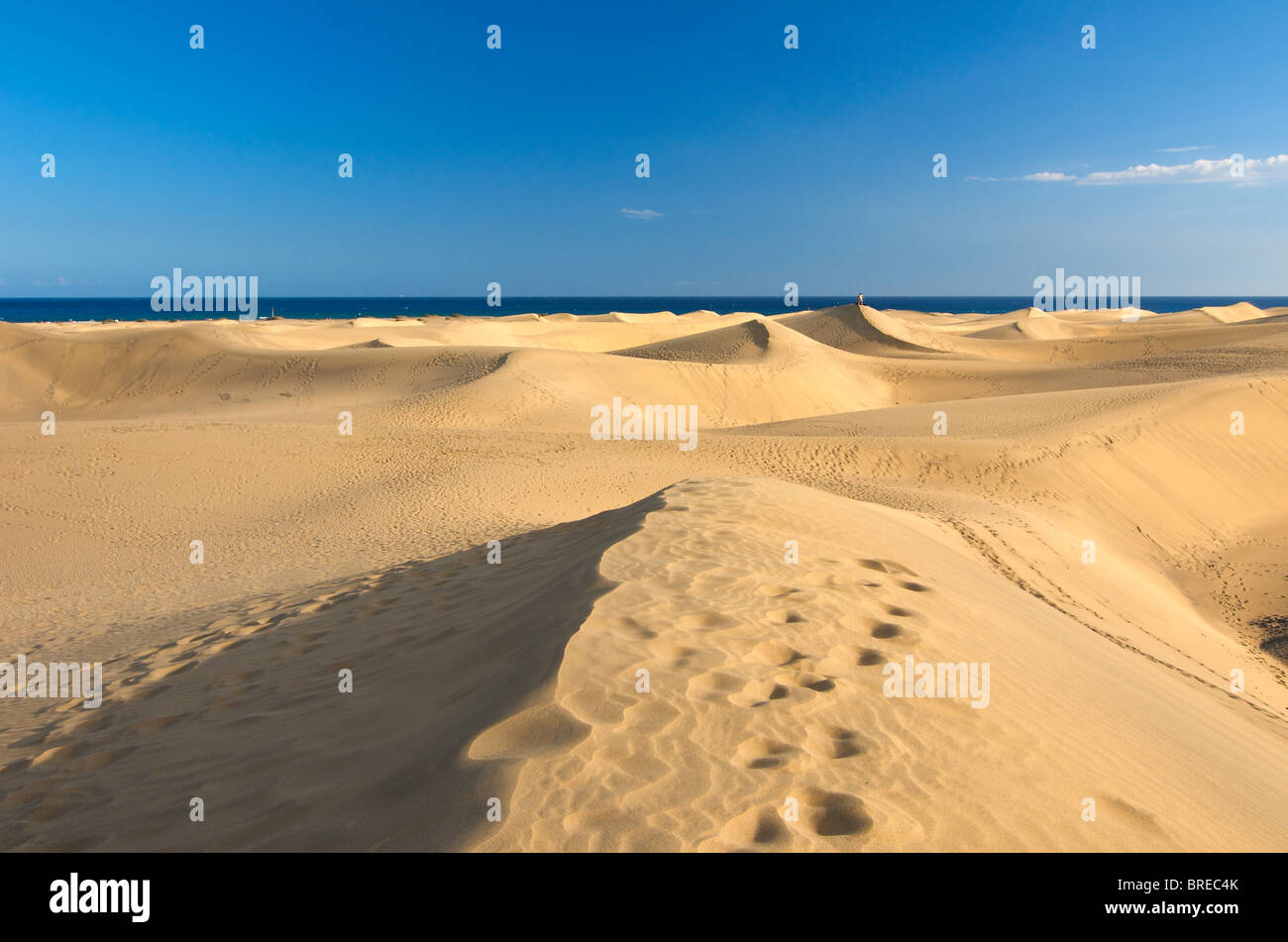 Sand dunes of Maspalomas, Gran Canaria, Canary Islands, Spain Stock Photo
