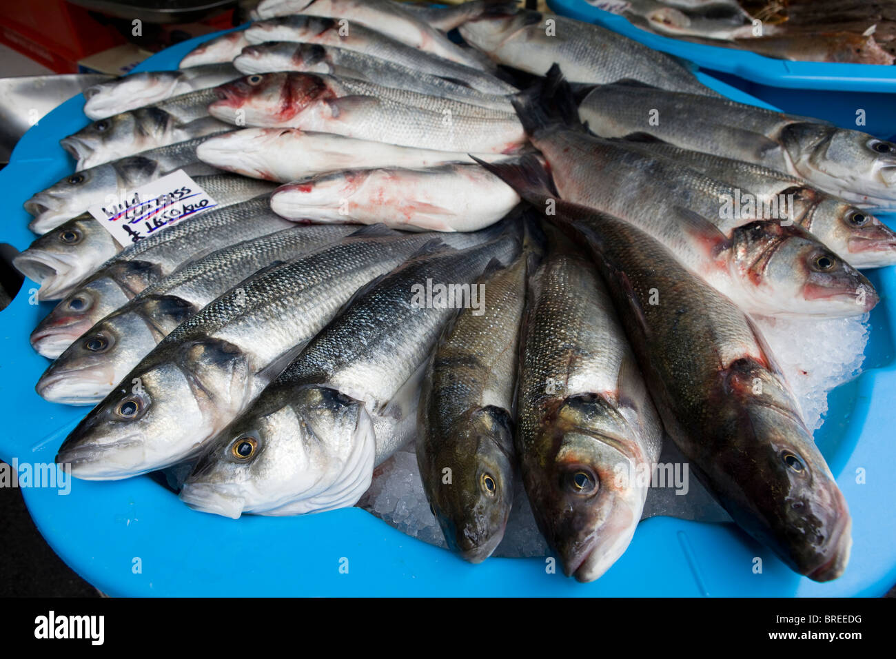 Carp fish market uk hires stock photography and images Alamy