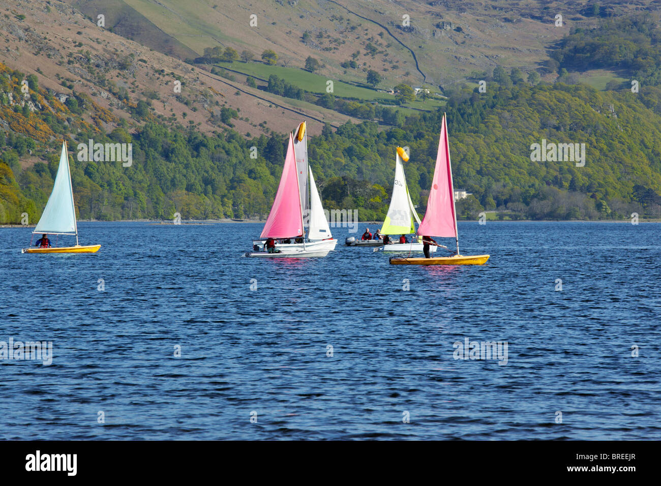 Sailing lessons on Derwentwater in the Lake District Stock Photo Alamy
