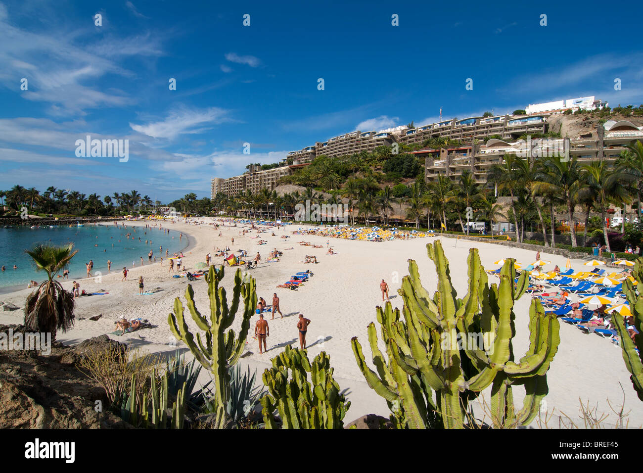 Beach of Arguineguin, Gran Canaria, Canary Islands, Spain Stock Photo