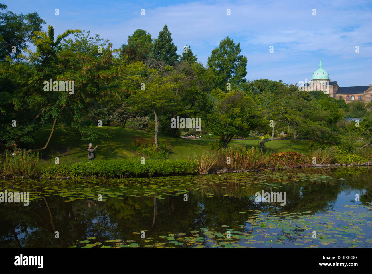 Botanisk Have the Botanical Gardens park central Copenhagen Denmark Europe Stock Photo