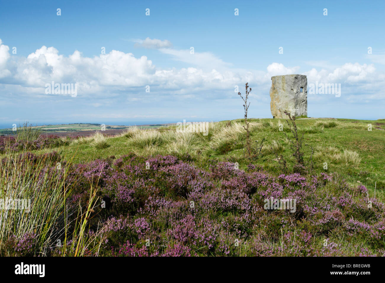 Centenary Stone on Danby Beacon standing among heather Stock Photo