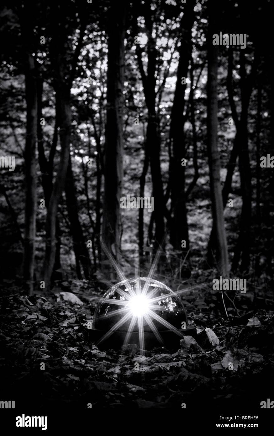 Transparent sphere in a wooden Stock Photo