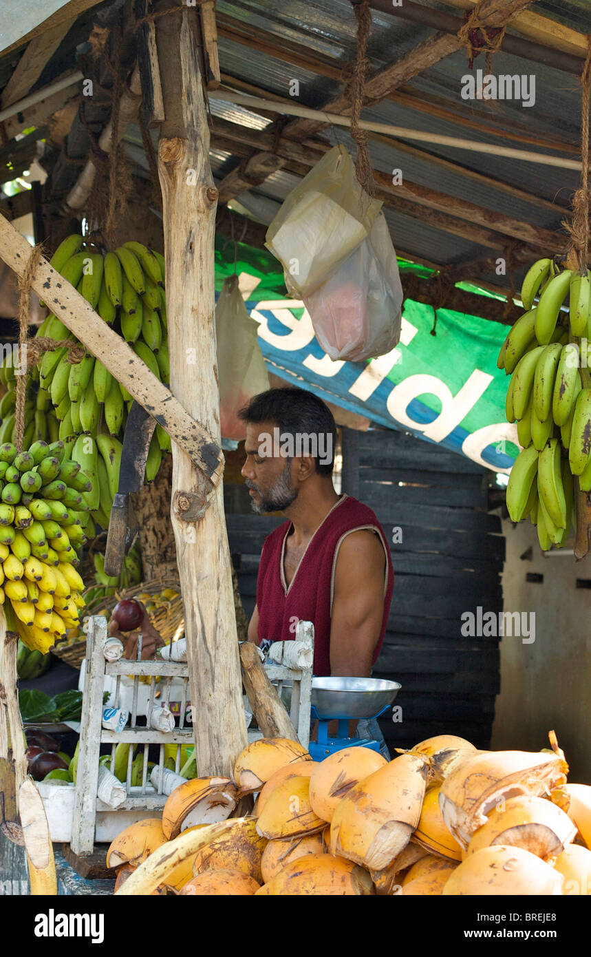 Fruit seller  in Sri Lanka surrounded by bananas and coconuts Stock Photo