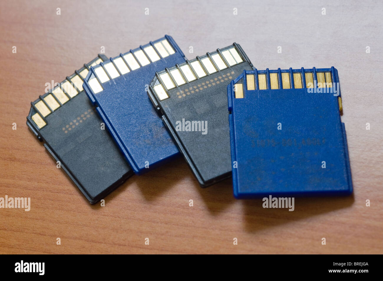 SD cards with flash memory for cameras and electronic devices Stock