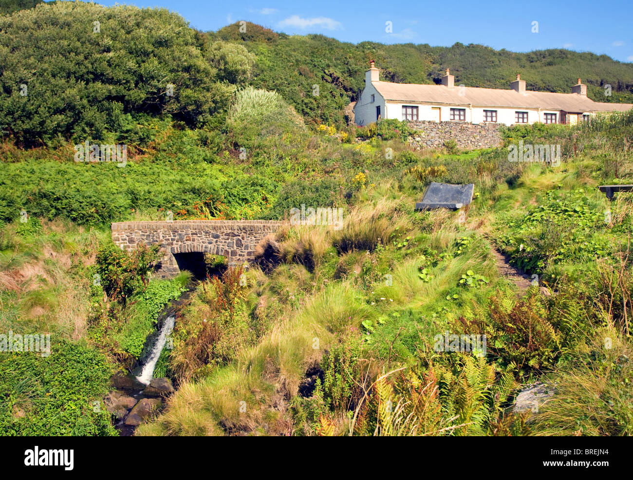Row of old mill cottages, Trefin, Pembrokeshire, Wales Stock Photo Alamy