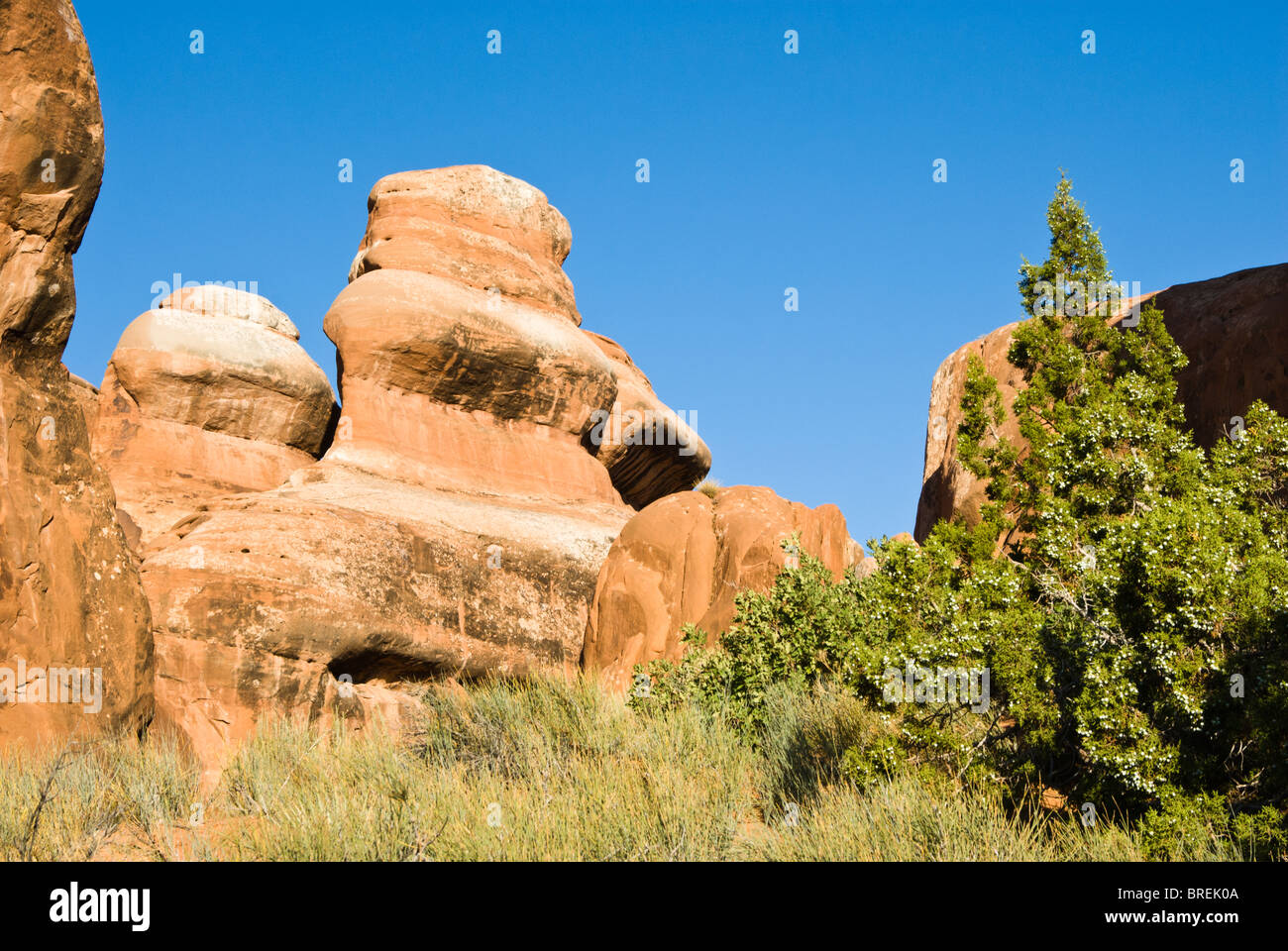 Sandstone Formations seen along the Devils Garden Trail in Arches ...
