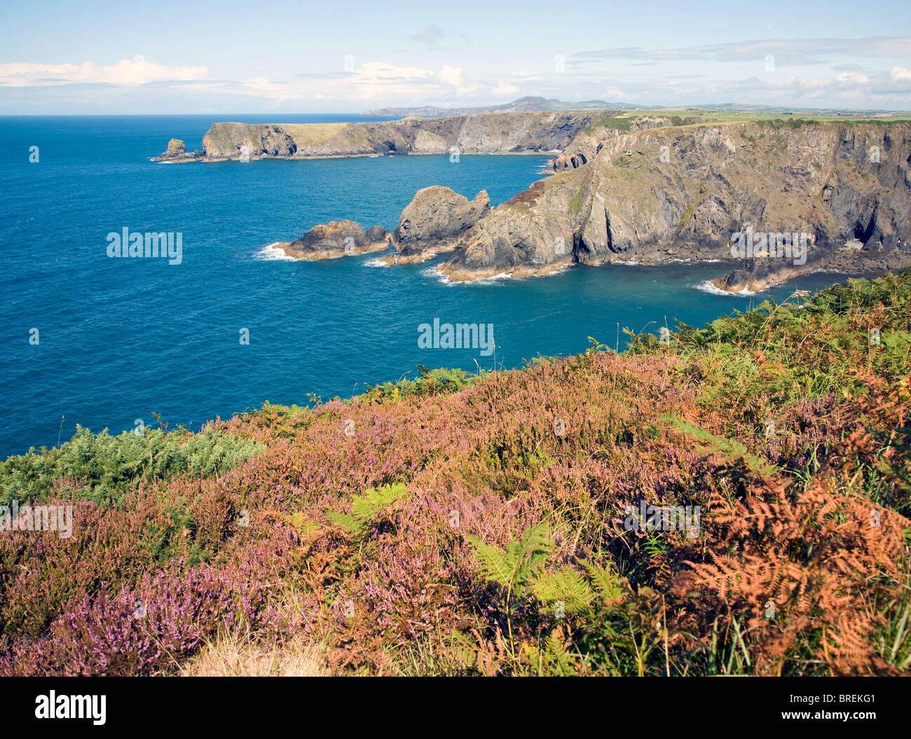 Coastal Scenery Near Trefin, Pembrokeshire Coast National Park, Wales 