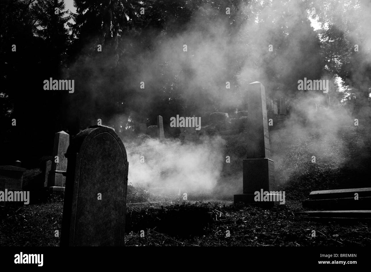Romania - Transylvania, Sighişoara Graveyard. steams among the graves Stock Photo