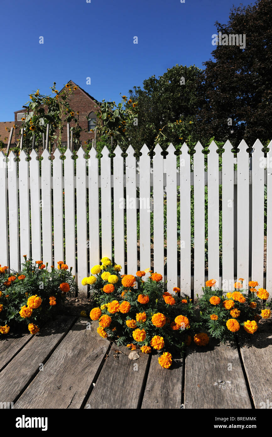 White picket fence gate hi-res stock photography and images - Alamy