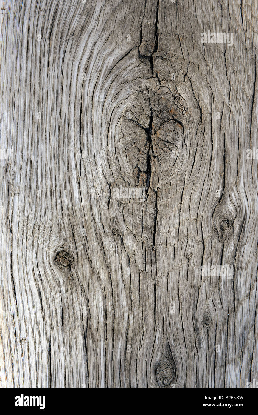 Old weathered wood with grain and knots Stock Photo