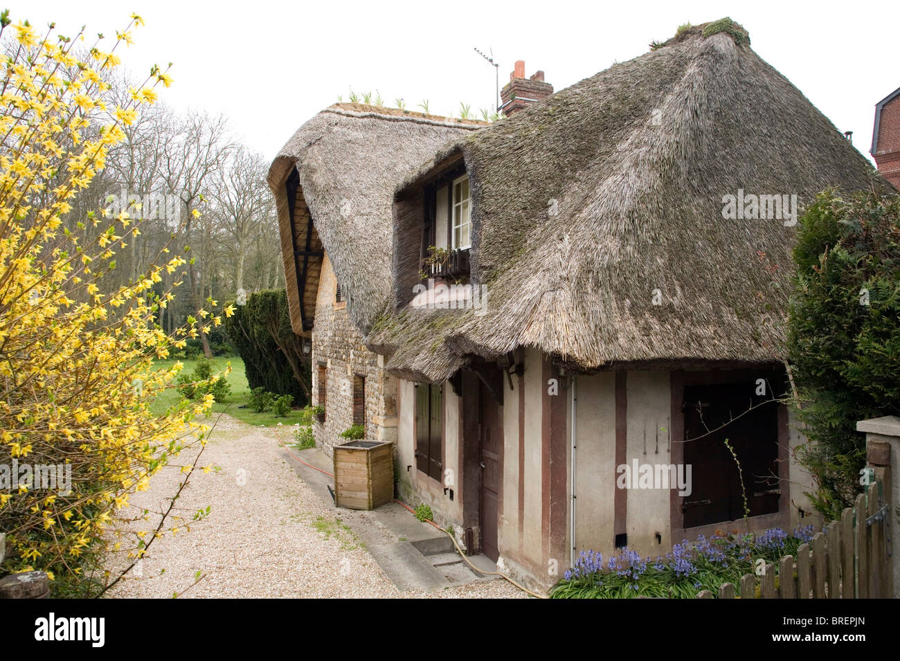 Norman house in Etretat, Normandy, France, Europe Stock Photo 31672557