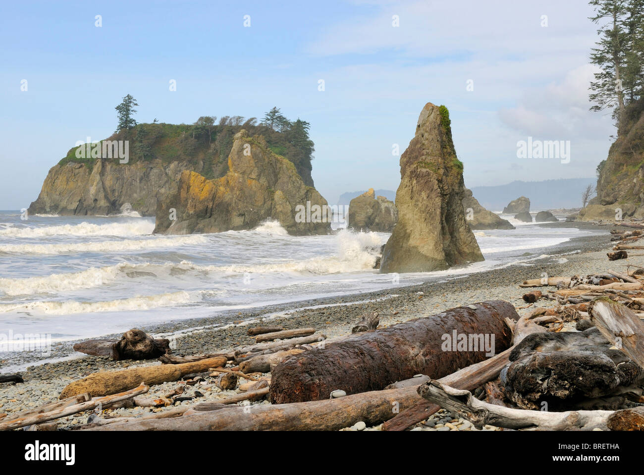 Rock formations and driftwood on the Pacific coast, Ruby Beach, Olympic Peninsula, Washington, USA Stock Photo