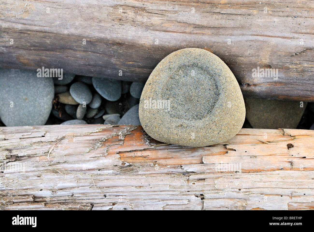 Hollowed-out stone on driftwood, Ruby Beach, Olympic Peninsula, Washington, USA Stock Photo