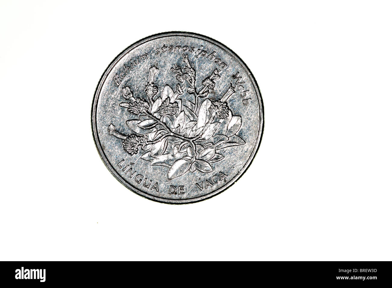 Cape verde crypto hi-res stock photography and images - Alamy