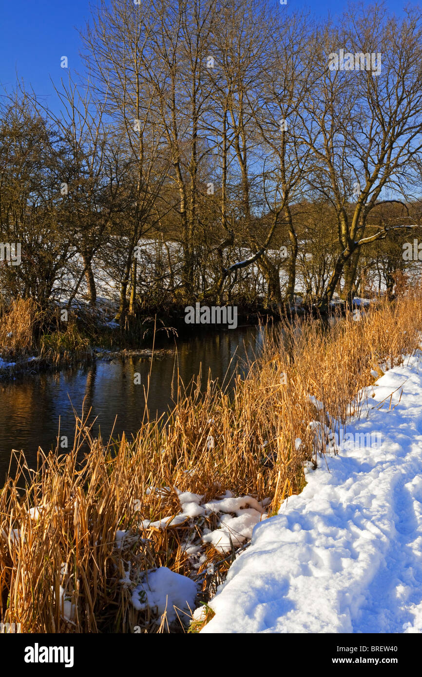Cromford Canal near Matlock in the Derbyshire Dales Peak District  England UK photographed in winter after a fall of heavy snow Stock Photo