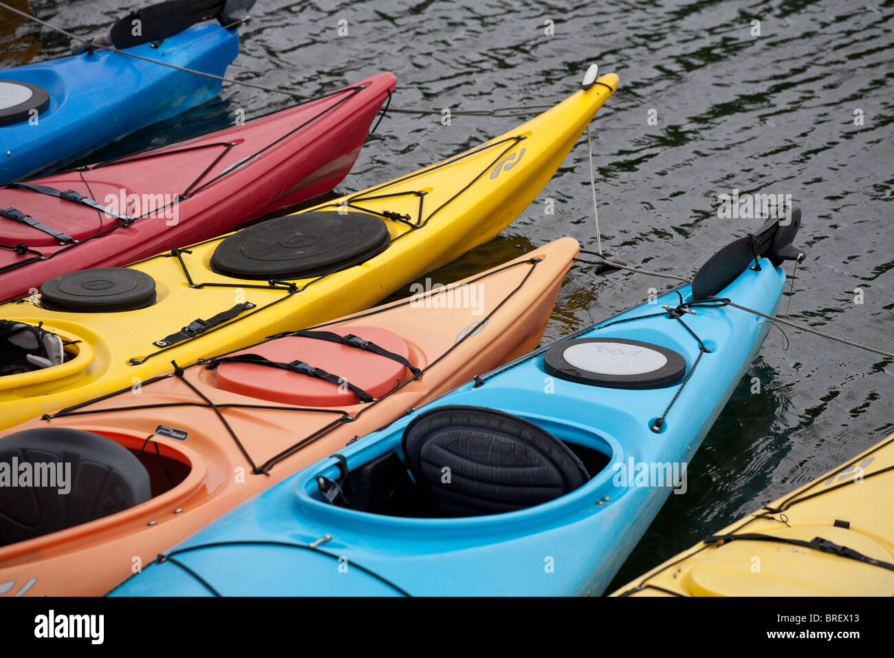 Colourful kayaks tied up in black water waiting for renters.. A pontoon of at least 6 kayaks await customers Stock Photo