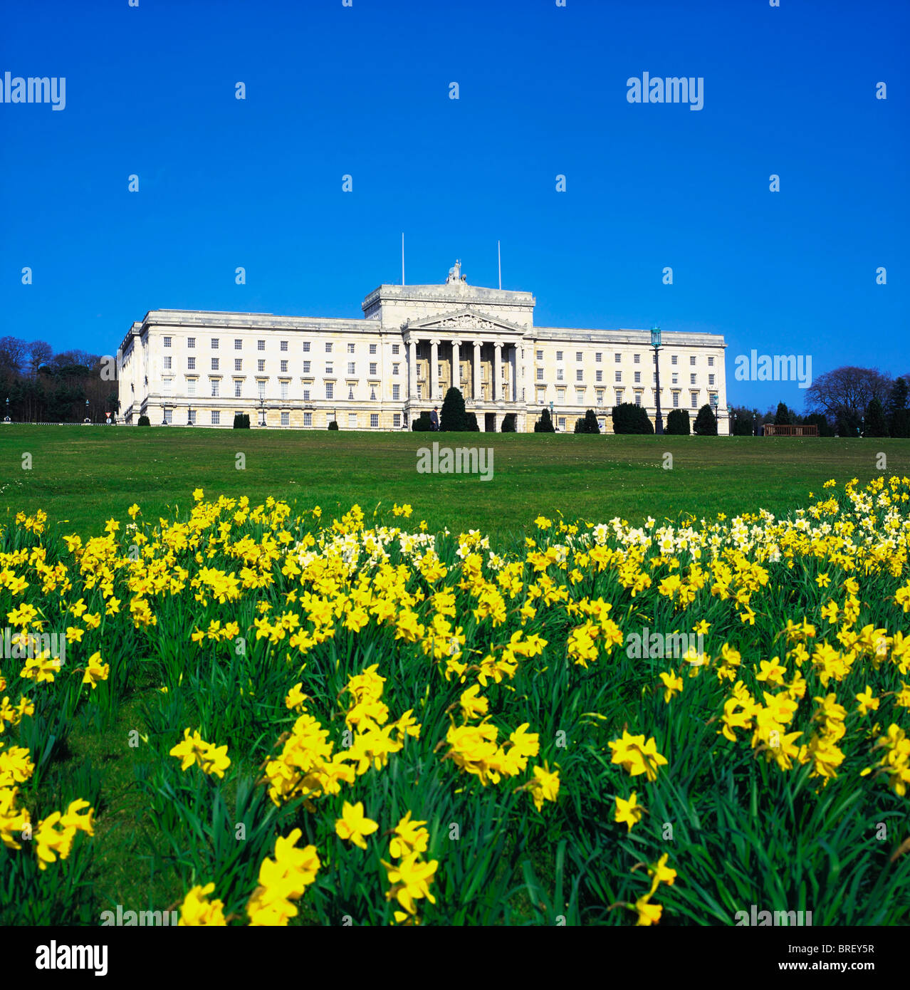 Stormont, Belfast, Co Antrim, Ireland Stock Photo Alamy