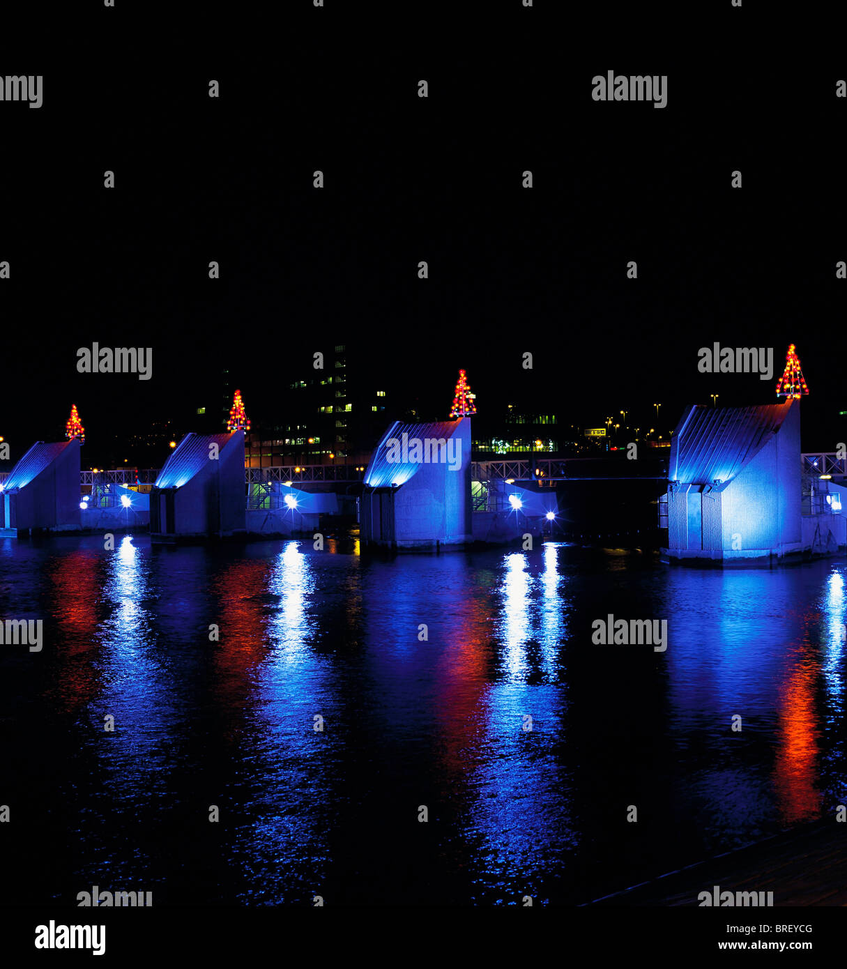 Lagan Weir, Belfast, Co Antrim, Ireland, Christmas Trees Behind A Dam