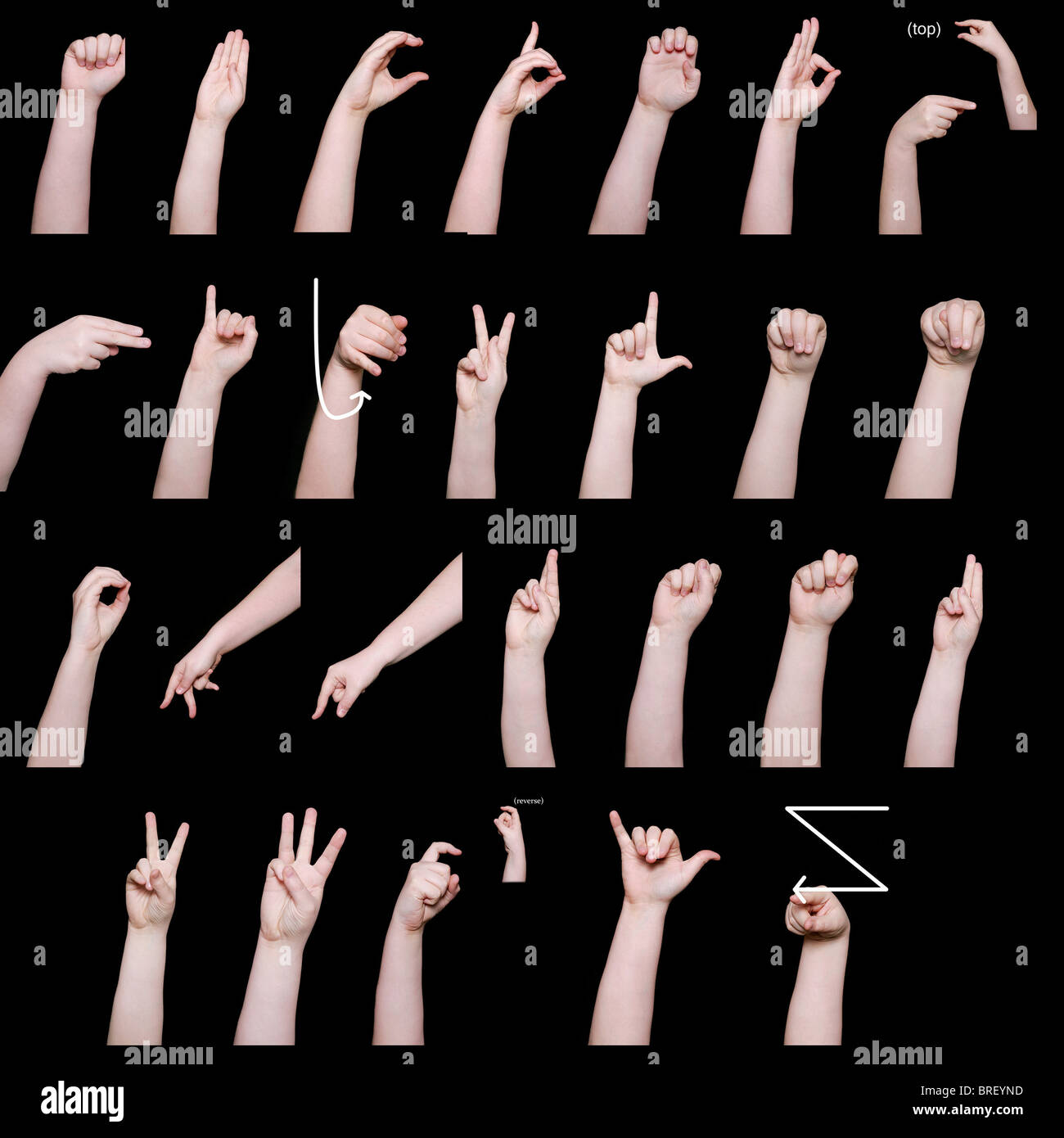 every letter of the English alphabet in American Sign Language as