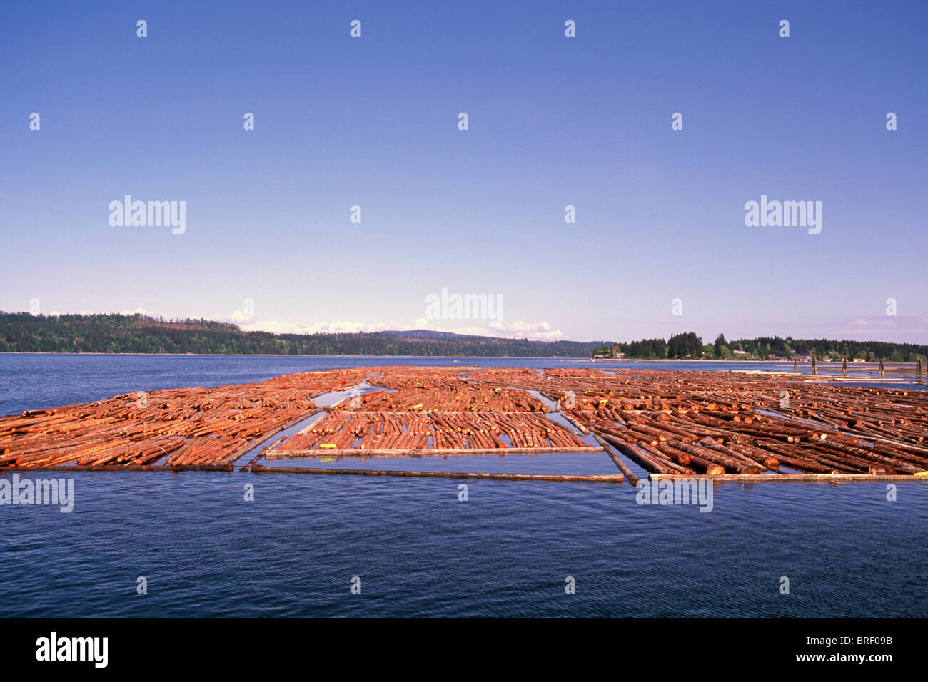 Log Boom, Strait, BC, British Columbia, Canada Logging and