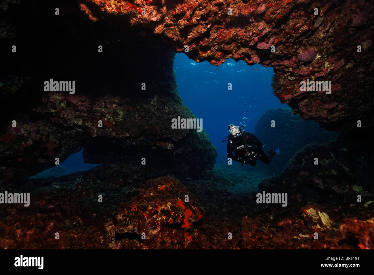 Scuba diver diving through a cave overcrusted with invertebrates, Cyprus, Asia, Mediterranean Sea Stock Photo