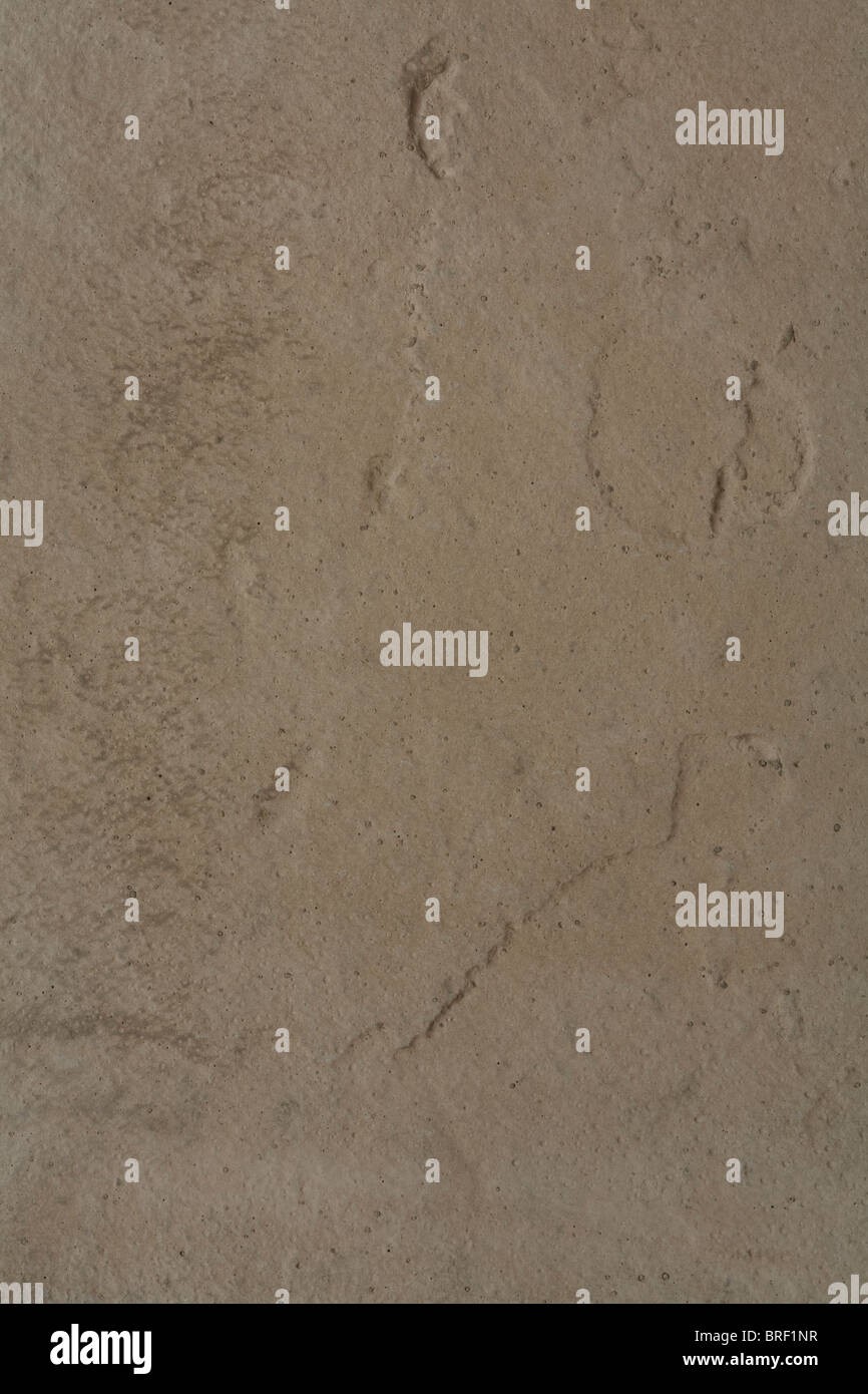 Closeup of concrete ideal for a grungy urban background or texture ...