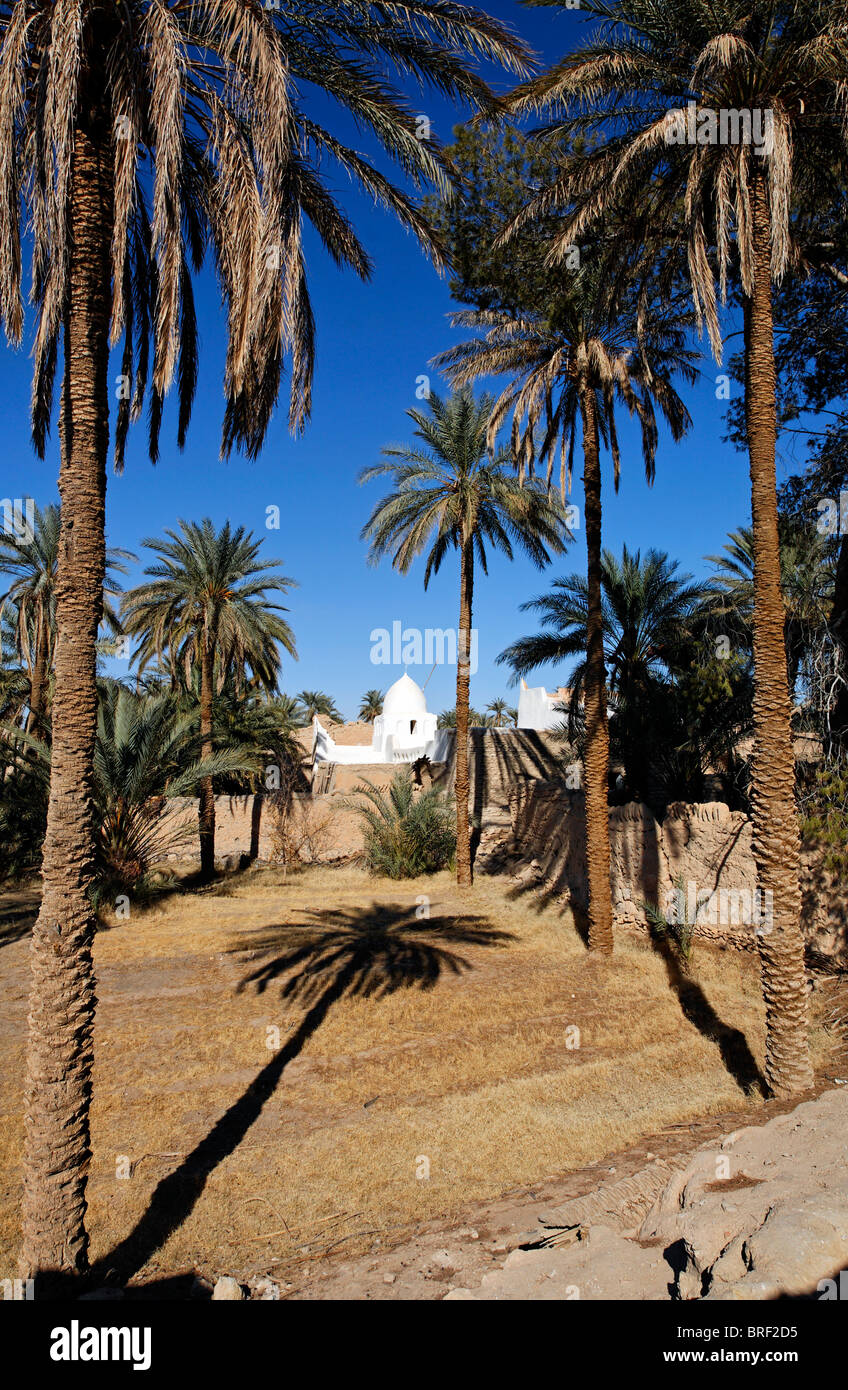 Palmerie and mosque in Ghadames Old Town, Libya Stock Photo
