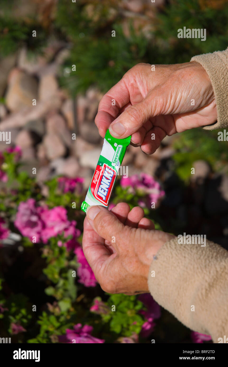 Jenkki Finnish chewing gum with Xylitol sweetener Finland Scandinavia