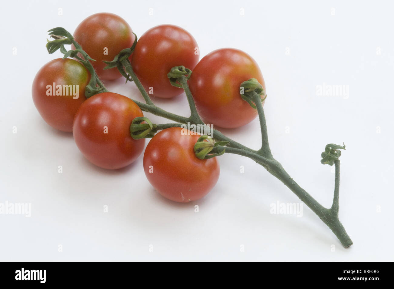 Fresh cherry tomatoes on white background Stock Photo - Alamy