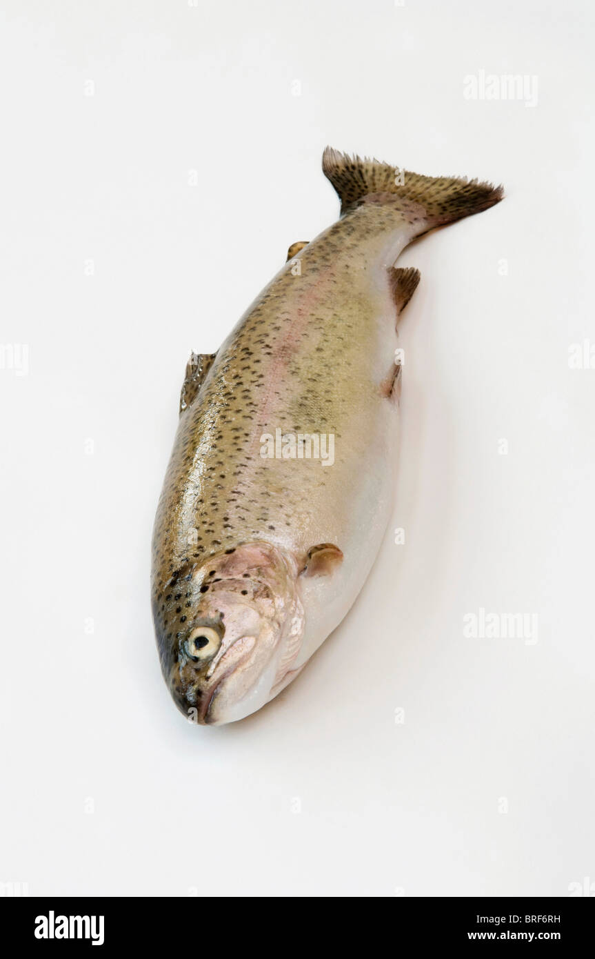 Rainbow trout on white background, close-up Stock Photo