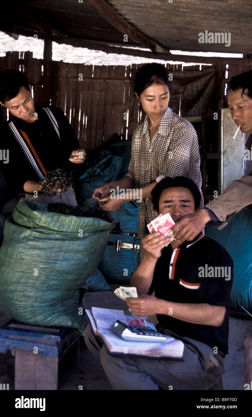 Luo Ming Wei (on left), tea factory owner purchases directly from tea ...