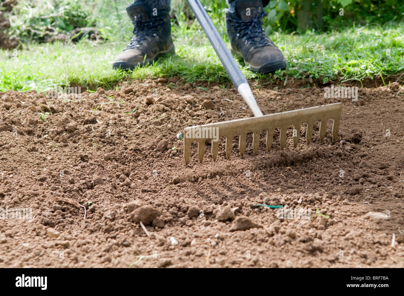 15 Different Types Of Rakes And Their Uses, 49 OFF