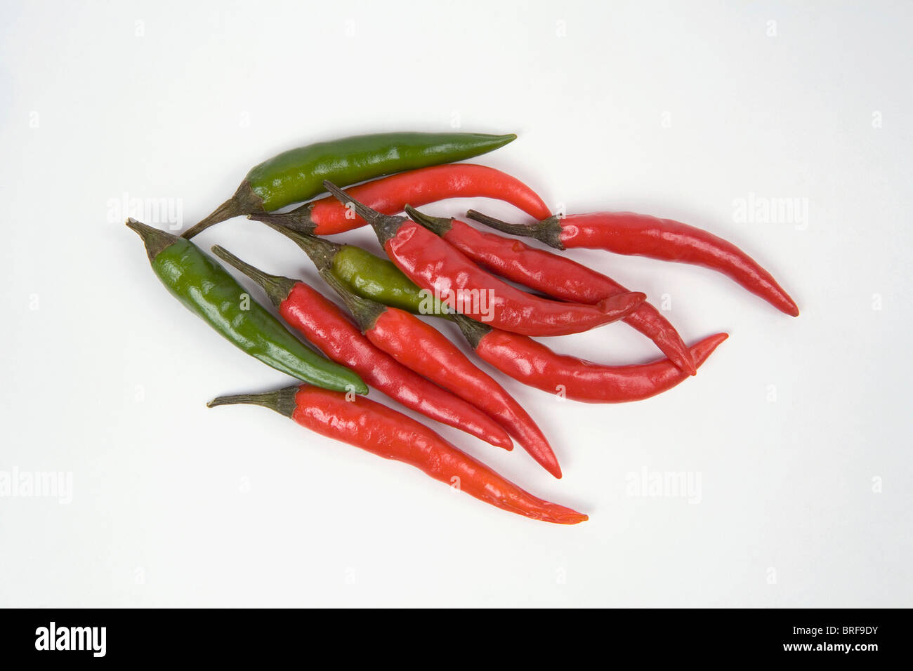 Close-up of Thai chilli peppers Stock Photo