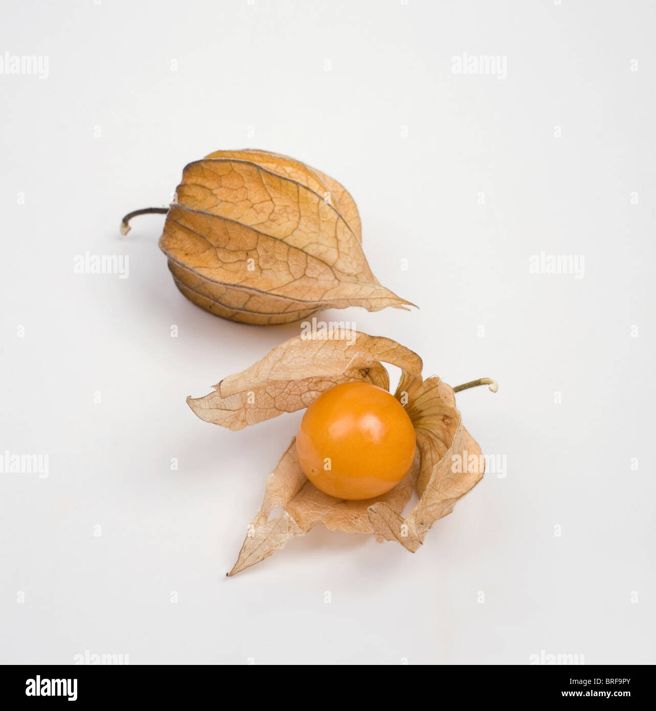 Physalis on white background, close-up Stock Photo