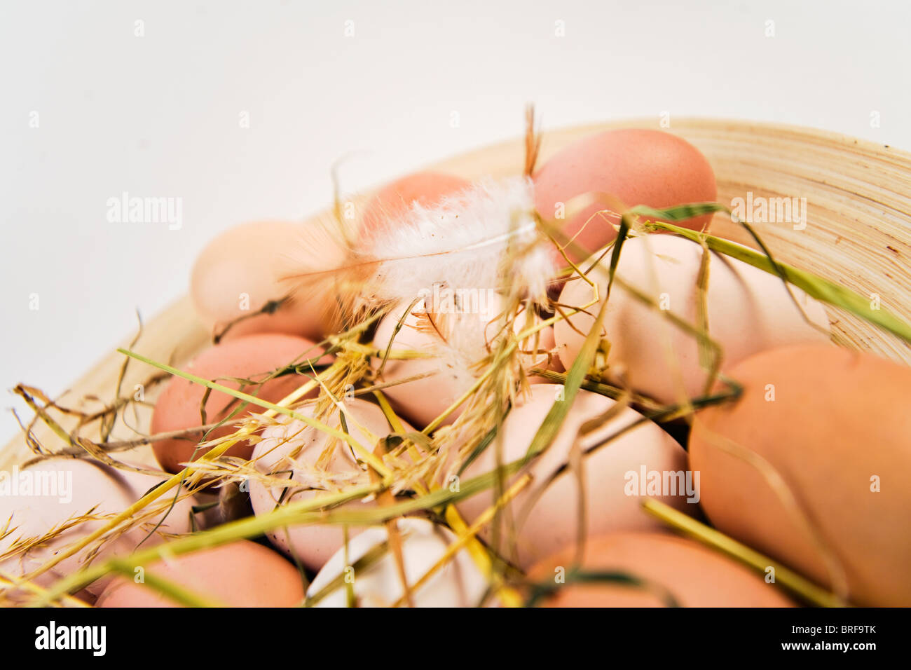 Eggs on a plate with feathers and straw Stock Photo